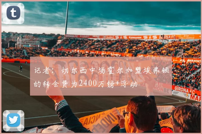 记者：切尔西中场霍尔加盟埃弗顿的转会费为2400万镑+浮动