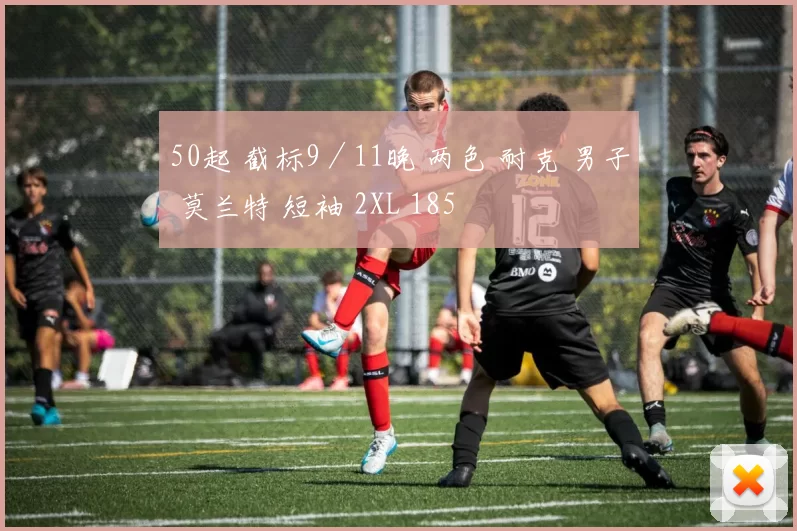 50起 截标9／11晚 两色 耐克 男子 莫兰特 短袖 2XL 185