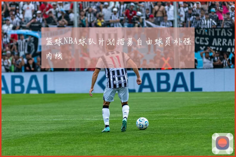 篮球NBA球队计划招募自由球员补强内线