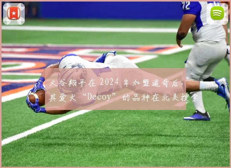 大谷翔平在 2024 年加盟道奇后，其爱犬“Decoy”的品种在北美搜索量翻了五倍