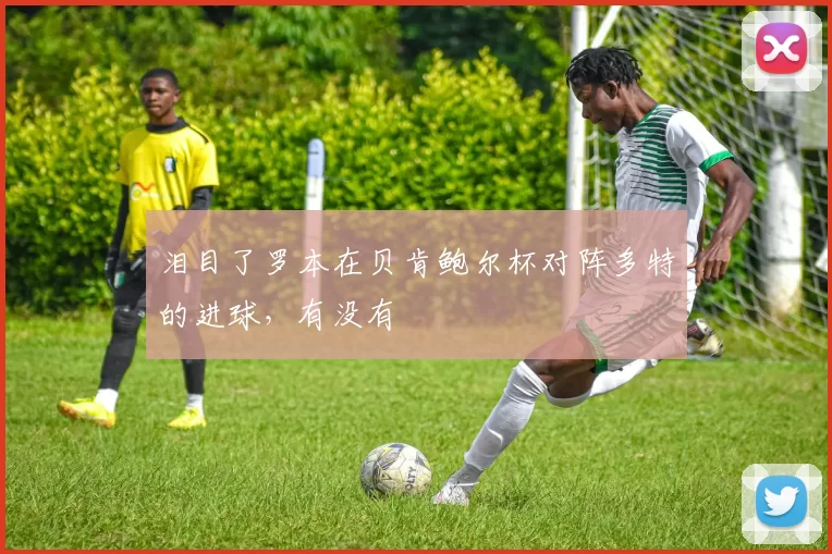 泪目了罗本在贝肯鲍尔杯对阵多特的进球，有没有
