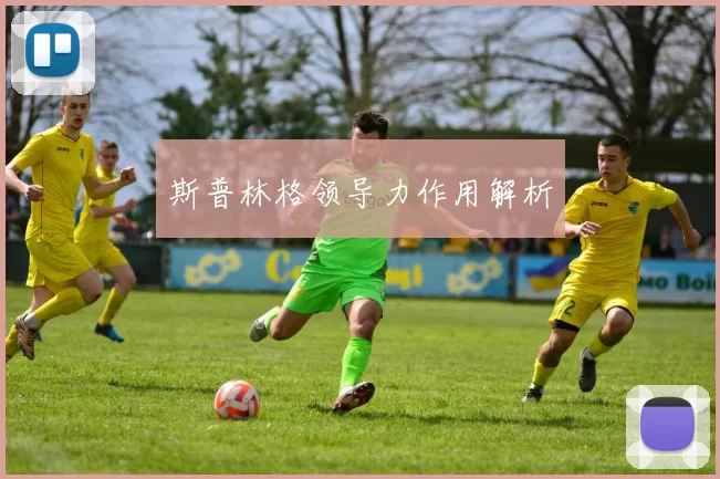 斯普林格领导力作用解析