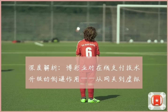 深度解析：博彩业对在线支付技术升级的倒逼作用——从网关到虚拟币。（从支付网关到虚拟币：博彩业如何倒逼在线支付技术迭代）