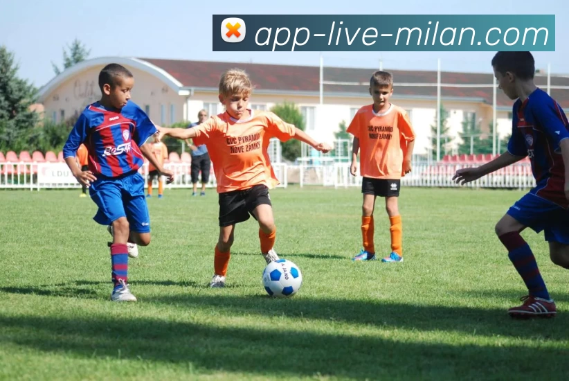 米兰体育app全站App